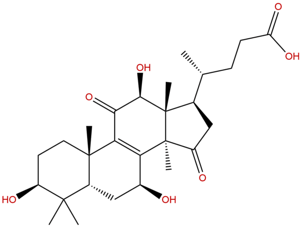 95311 96 9 - BIORLAB