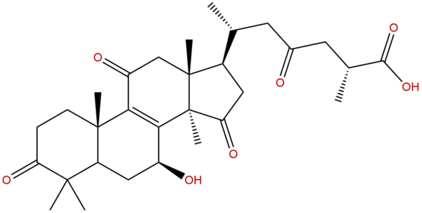 95311 97 0 - BIORLAB