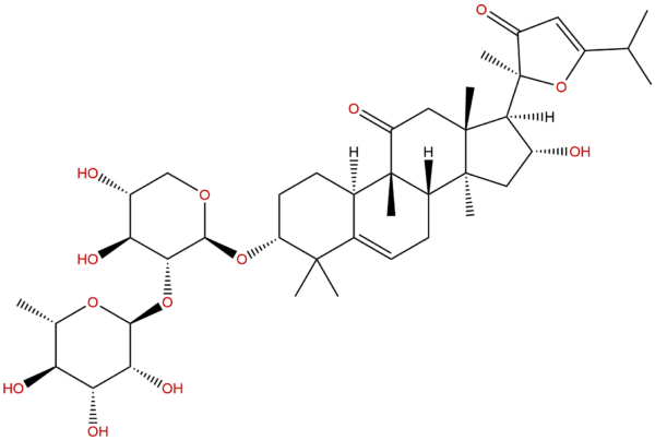 97230 47 2 - BIORLAB