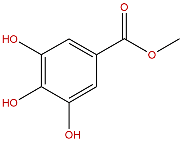 99 24 1 - BIORLAB