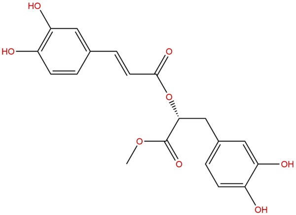 99353 00 1 - BIORLAB