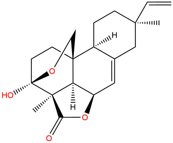 aba2ee9ca6bef9d0cf465eddb1f0e644 - BIORLAB