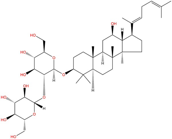 ae82d744c16dac874a6c6708b7aee05d - BIORLAB