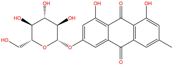 b07fb239dc4e2c06ec6dc3899cc4dc92 - BIORLAB