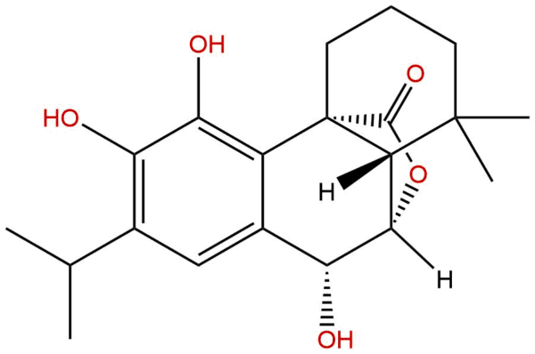 c1bcbd63c7c32c0cc056cc4893df877e - BIORLAB