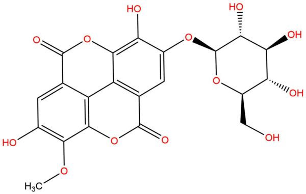 cb9eae972f9ae8b0afb41870c47eae91 - BIORLAB