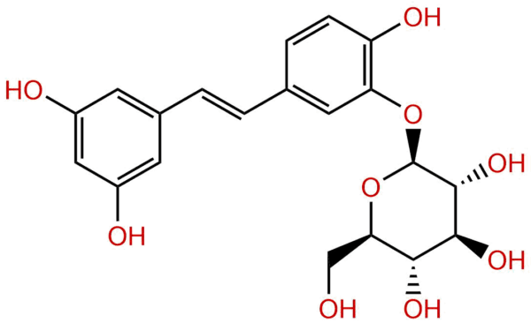 ce1e6d9cd6ff46347d54a9aea84f1ca6 - BIORLAB