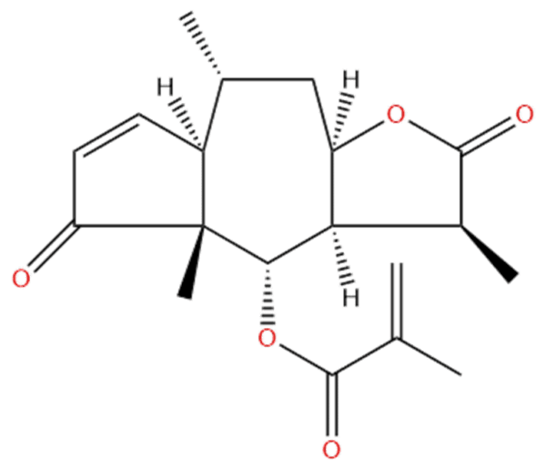 cff8a0efa19f1d3d6e50f1c47479ca07 - BIORLAB