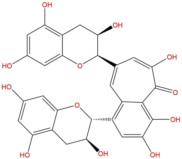 d670b17b0ad6507d2e873d84d5d16247 - BIORLAB