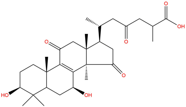 d864c6317343365dc6b57ff77f1cc906 - BIORLAB