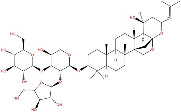 dad63b5bb27407f9e40d936464424879 - BIORLAB