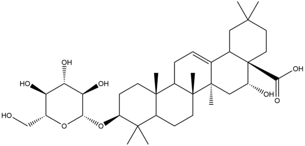 df24c3d50e88cd69e7002bca06c370bd - BIORLAB