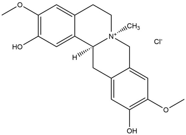 e0bd82b17ecc78285ea64a8cda4ce582 - BIORLAB