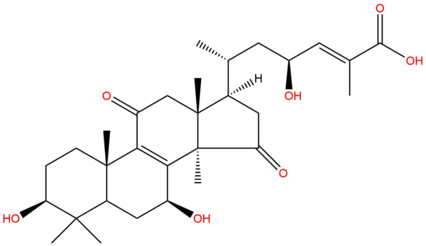 e83cb5d26af93a1a26740604f7e3ef7f - BIORLAB