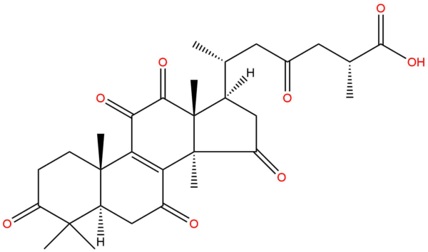 e970ee4b57e55f62877c5d74f0c139c8 - BIORLAB