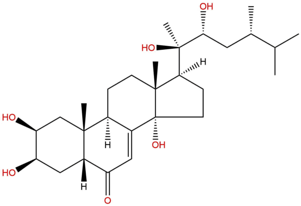 eeb509582e75aa5ee2fcb22a4a3624f9 - BIORLAB