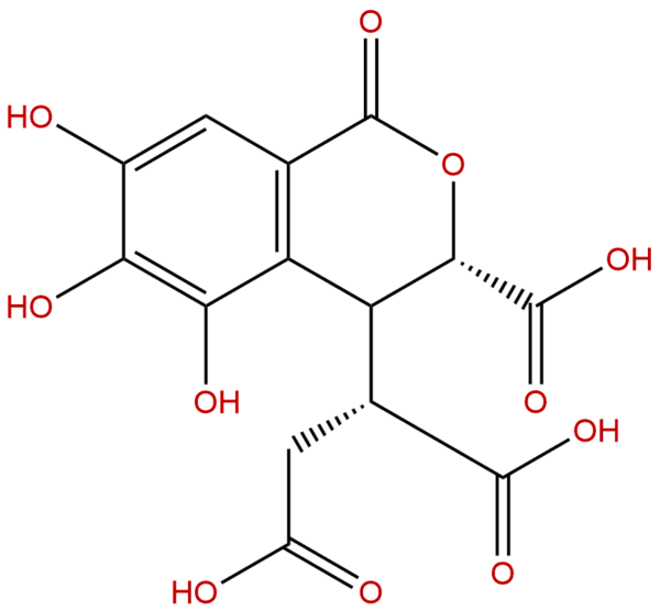 f5efc5257818c0da8bdef4e938828e0c - BIORLAB