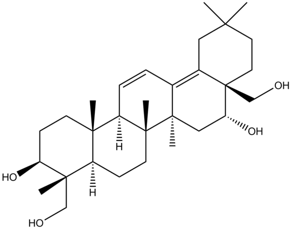 f6008804da11849f6c7d486461f04a2b - BIORLAB