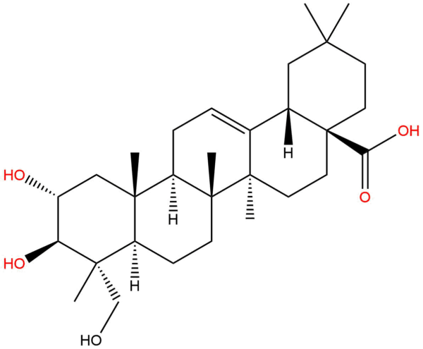 fdb33a870cb985c450b306cfec2e7f9a - BIORLAB